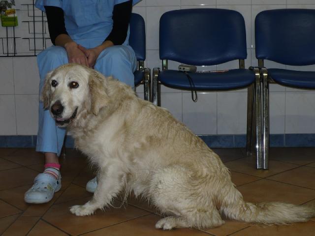 4857.jpg