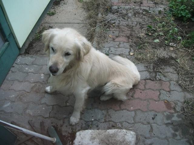5936.jpg