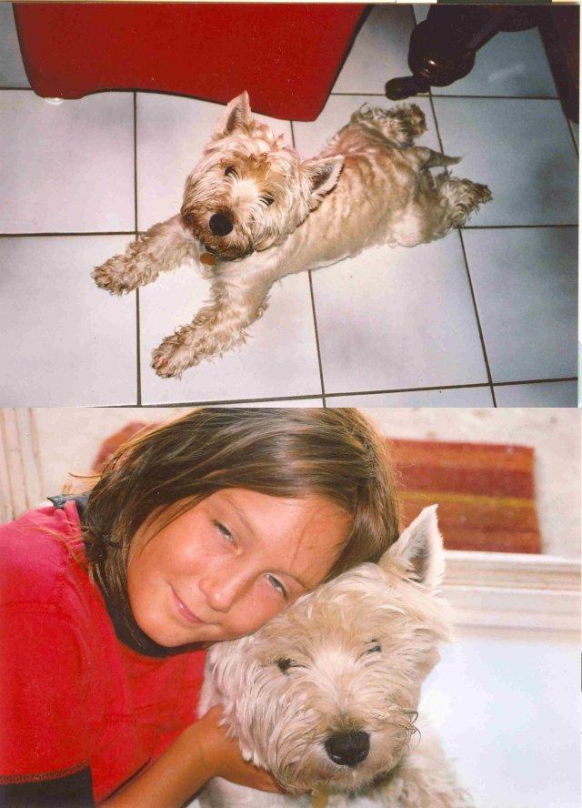 1996.jpg