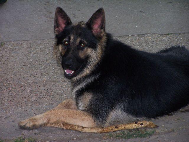 6974_2.jpg