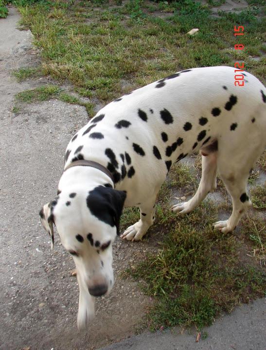 7653_1.jpg