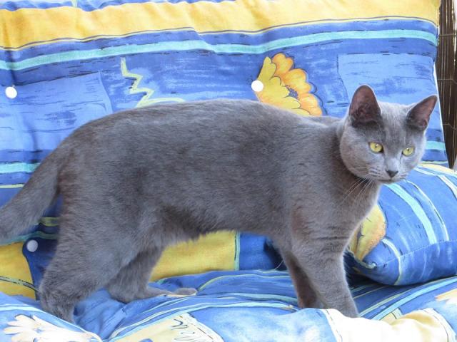 8539.jpg