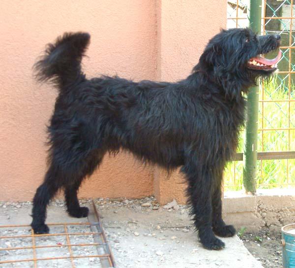 PEST%20MEGYEI%20BEFOGADOK_968.jpg