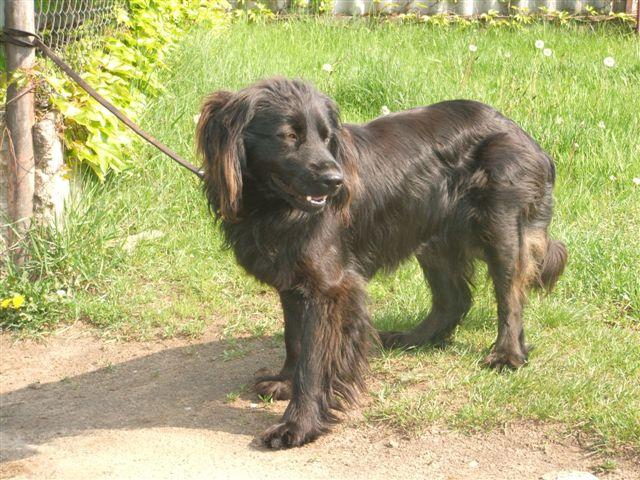 PEST%20MEGYEI%20BEFOGADOK_988.jpg