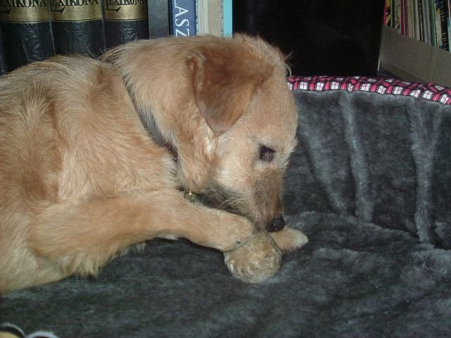 Fido 2