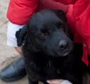 Name: Burkus Breed: Mix